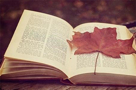 福建成考網(wǎng)絡教育和函授的區(qū)別